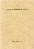 黒河西山遺跡発掘調査報告