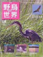 週刊野鳥の世界　第18号　ムラサキサギ