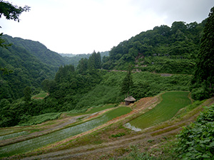 留守原の棚田