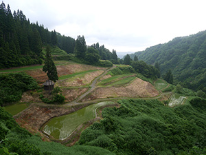 留守原の棚田