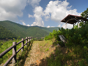 岩屋ダム　ダム印