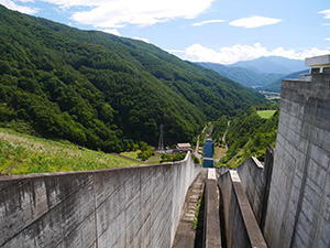 味噌川ダム　ダム印