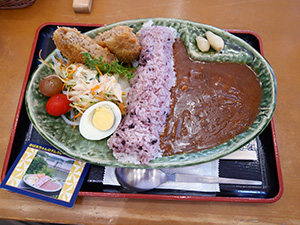 おばあちゃんのダムカレー（小里川ダムカレー）