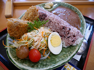 おばあちゃんのダムカレー（小里川ダムカレー）