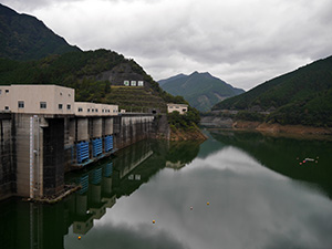 蓮ダム　ダム印