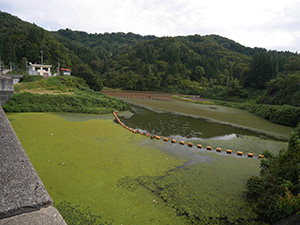 鯖石川ダム　５０周年記念カード