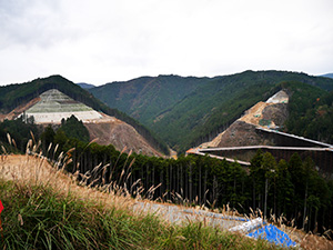 設楽ダム　ダム印